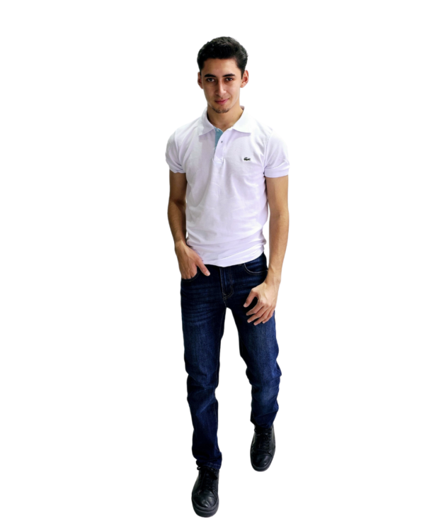 PLAYERA PREMIUM TIPO POLO BORDADA LACOSTE - Imagen 19