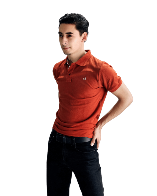 PLAYERA PREMIUM TIPO POLO BORDADA CALVIN KLEIN - Imagen 10