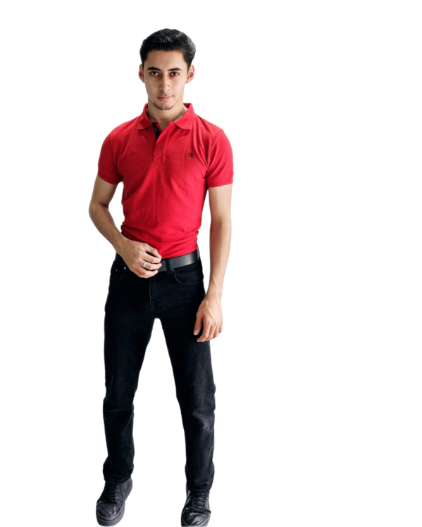 PLAYERA PREMIUM TIPO POLO BORDADA CALVIN KLEIN - Imagen 2