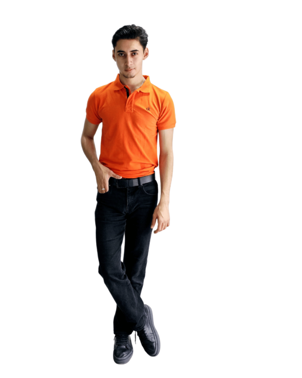 PLAYERA PREMIUM TIPO POLO BORDADA CALVIN KLEIN - Imagen 7