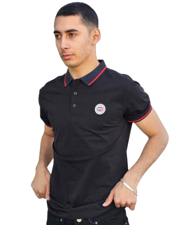 PLAYERA IMPORTACIÓN POLO - Imagen 2
