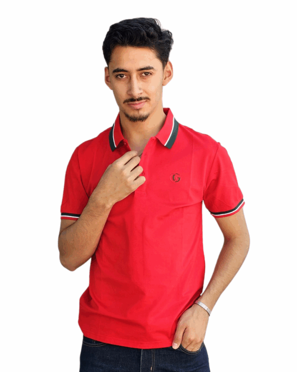 PLAYERA IMPORTACIÓN POLO - Imagen 3