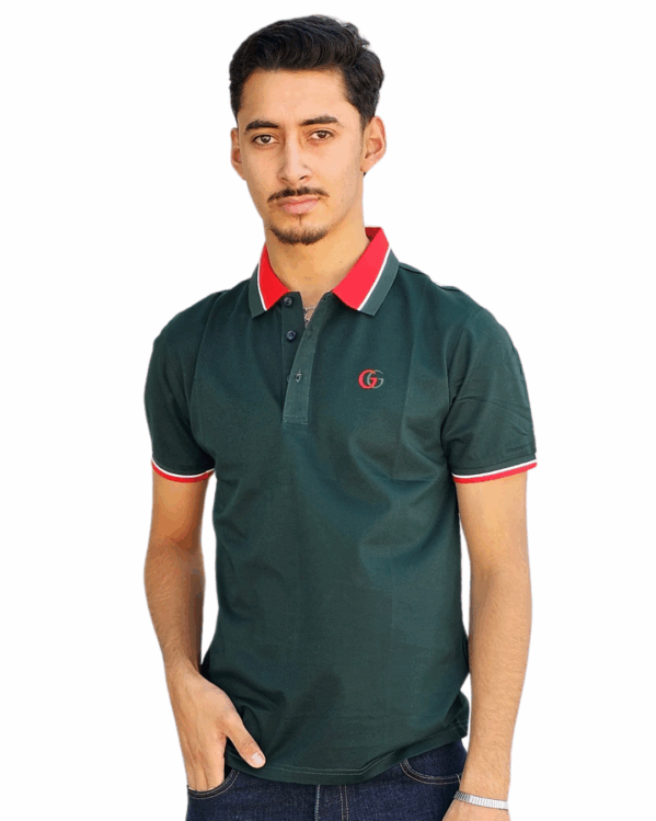 PLAYERA IMPORTACIÓN POLO - Imagen 2
