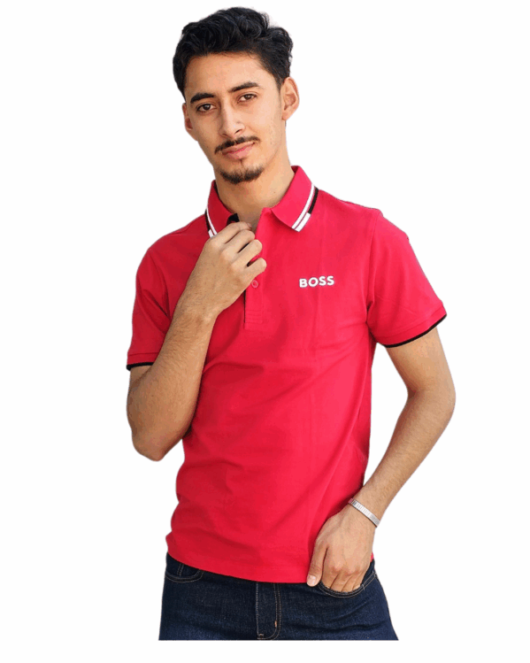 PLAYERA IMPORTACIÓN POLO - Imagen 2