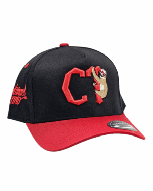 GORRA SEMICURVA