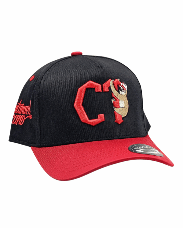 GORRA SEMICURVA