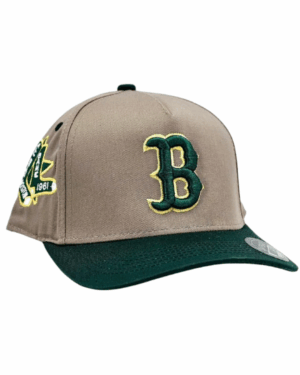 GORRA SEMICURVA
