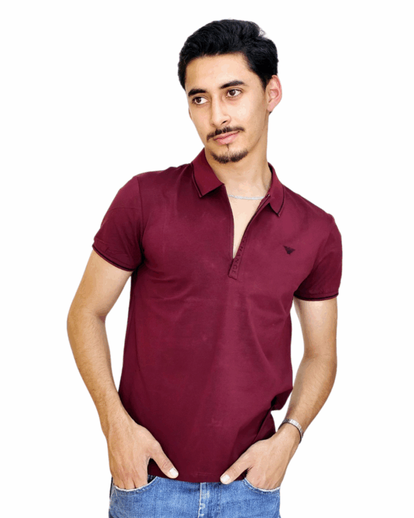 PLAYERA IMPORTACIÓN POLO - Imagen 3