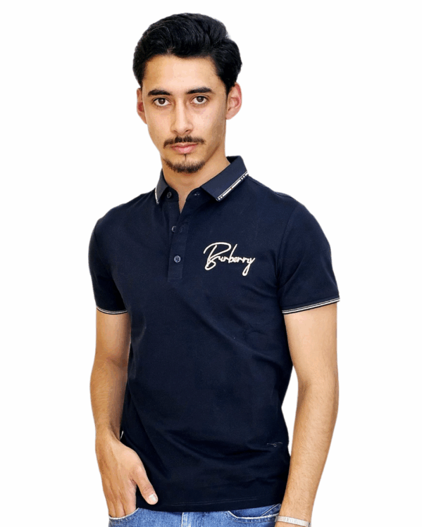 PLAYERA IMPORTACIÓN POLO - Imagen 2