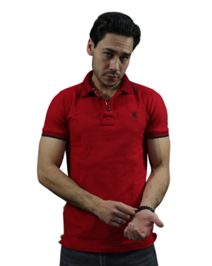 PLAYERA POLO FILOS